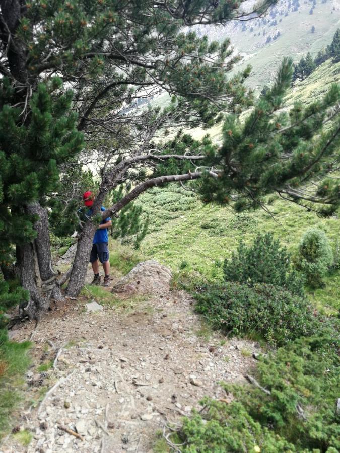 Pyrenees Catalanes Tres Joli Appartement 300M Telecabines Font Romeu Exterior foto