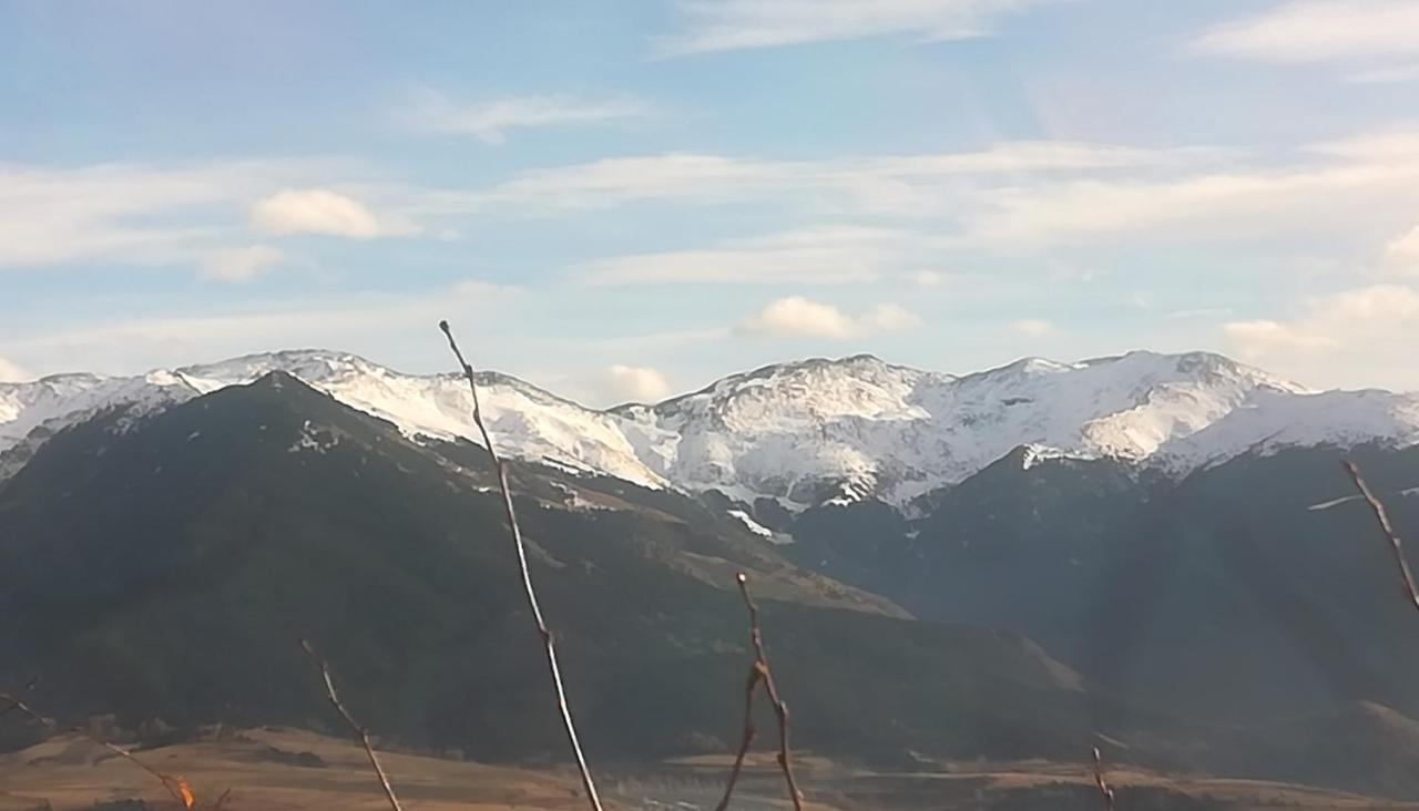 Pyrenees Catalanes Tres Joli Appartement 300M Telecabines Font Romeu Exterior foto