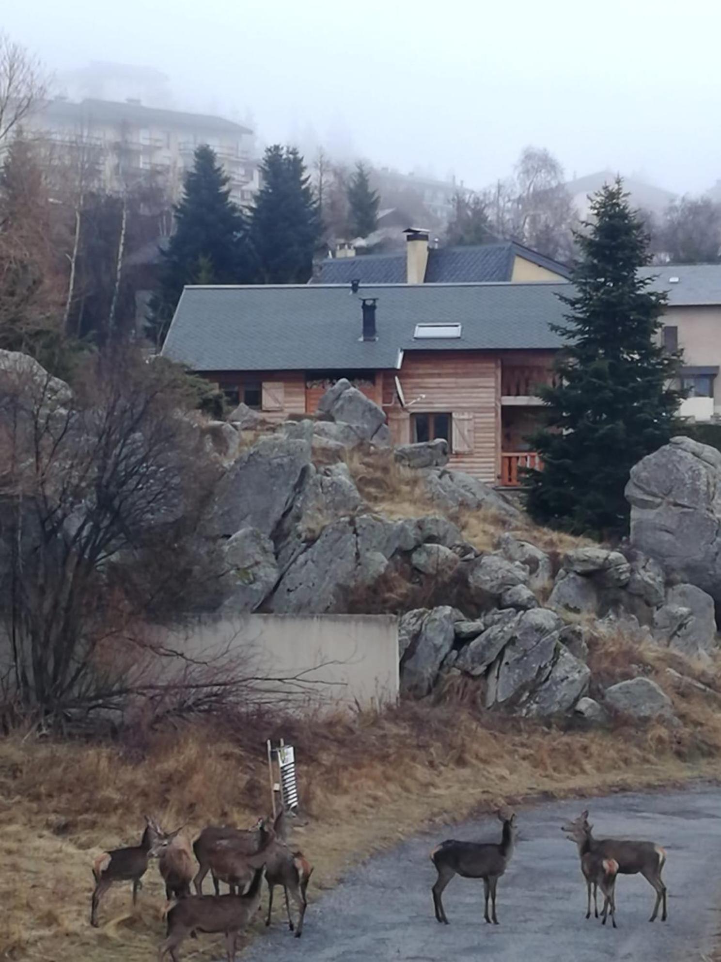 Pyrenees Catalanes Tres Joli Appartement 300M Telecabines Font Romeu Exterior foto