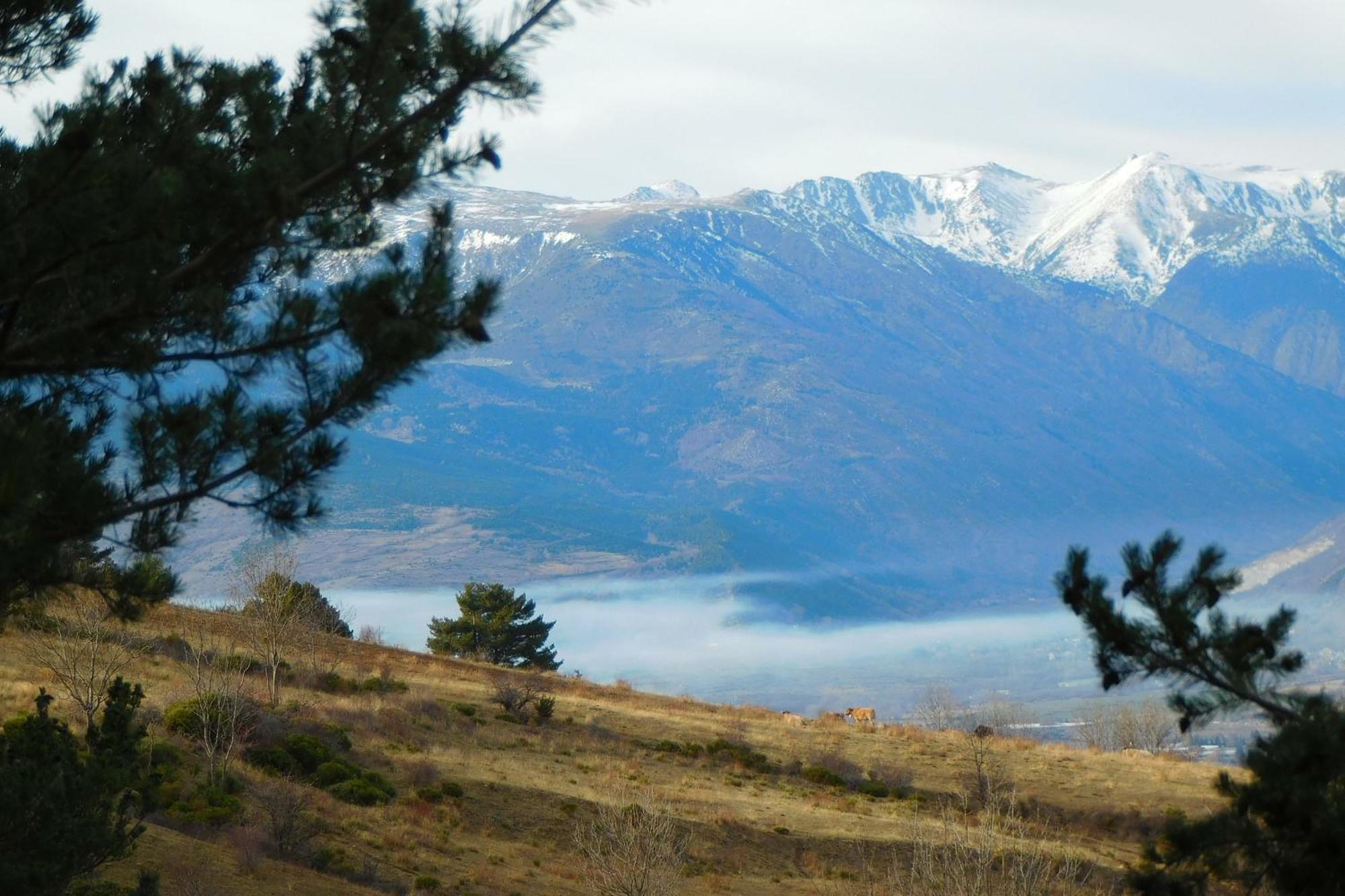 Pyrenees Catalanes Tres Joli Appartement 300M Telecabines Font Romeu Exterior foto