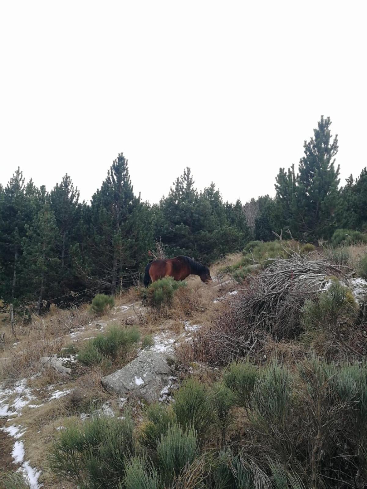 Pyrenees Catalanes Tres Joli Appartement 300M Telecabines Font Romeu Exterior foto