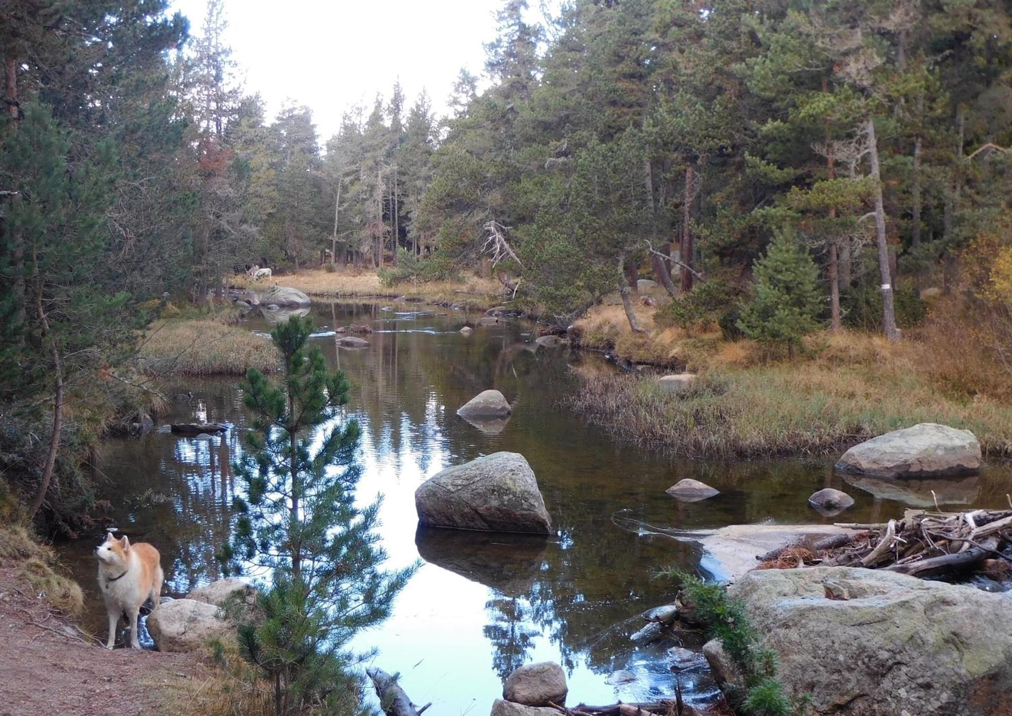 Pyrenees Catalanes Tres Joli Appartement 300M Telecabines Font Romeu Exterior foto