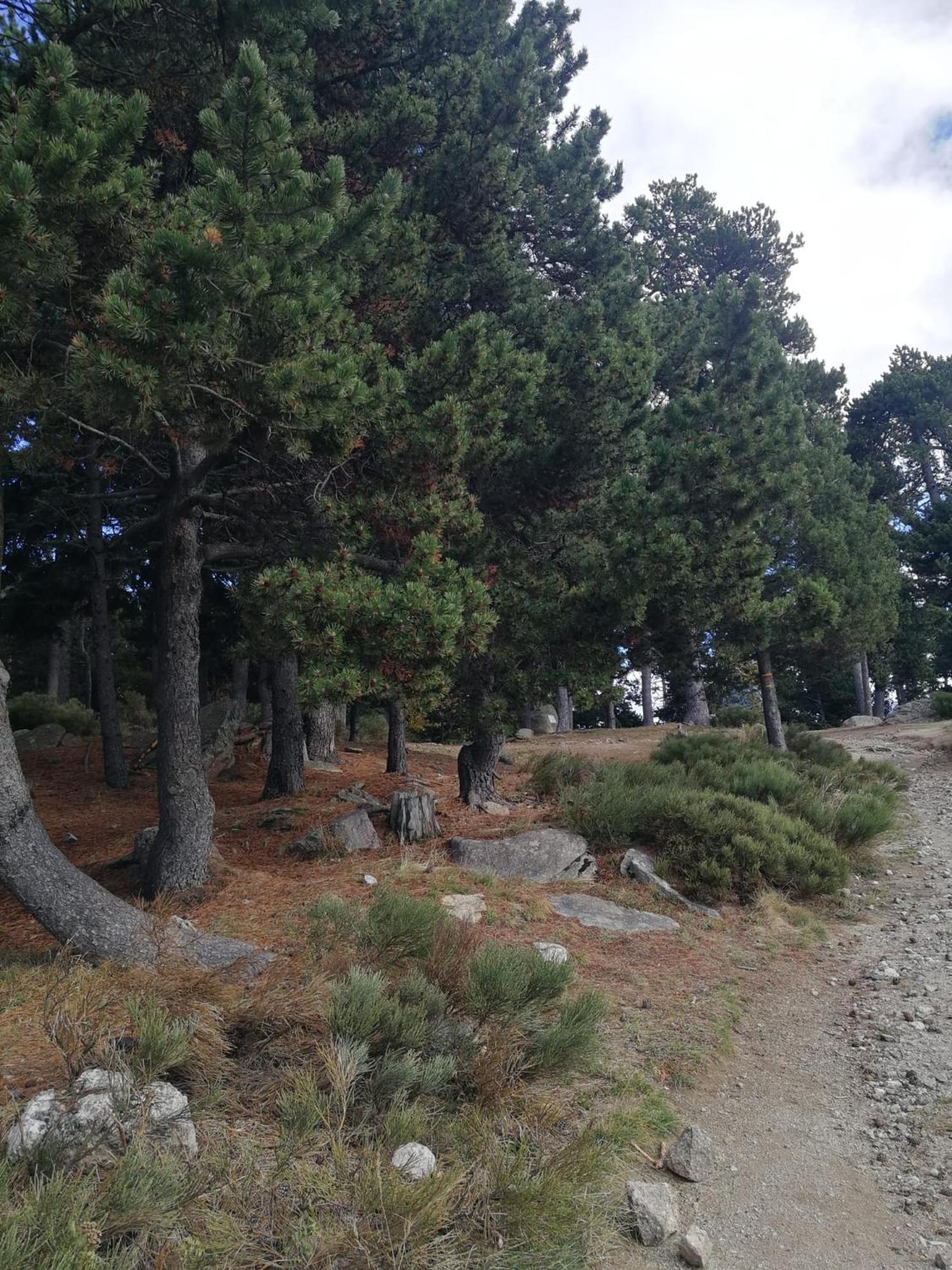 Pyrenees Catalanes Tres Joli Appartement 300M Telecabines Font Romeu Exterior foto